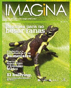 IMAGINA EDICION 5