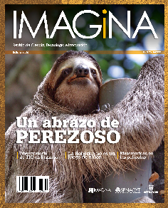 IMAGINA EDICION 8
