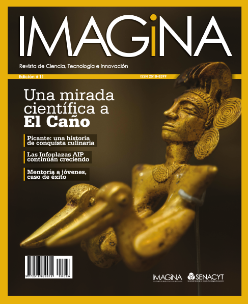 IMAGINA EDICION 11