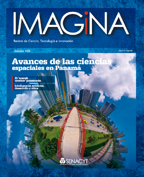 IMAGINA EDICIÓN 20