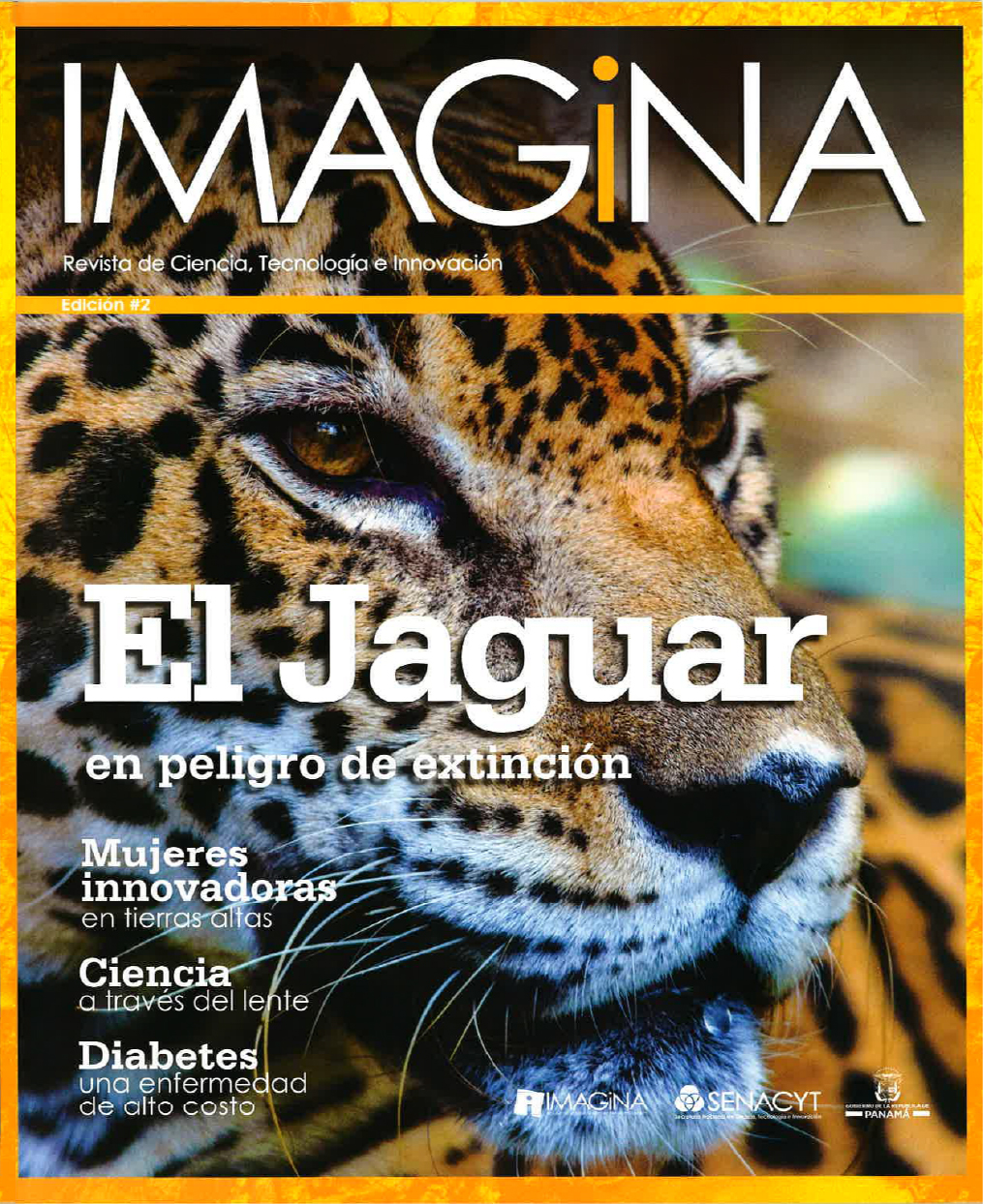 IMAGINA EDICION 2