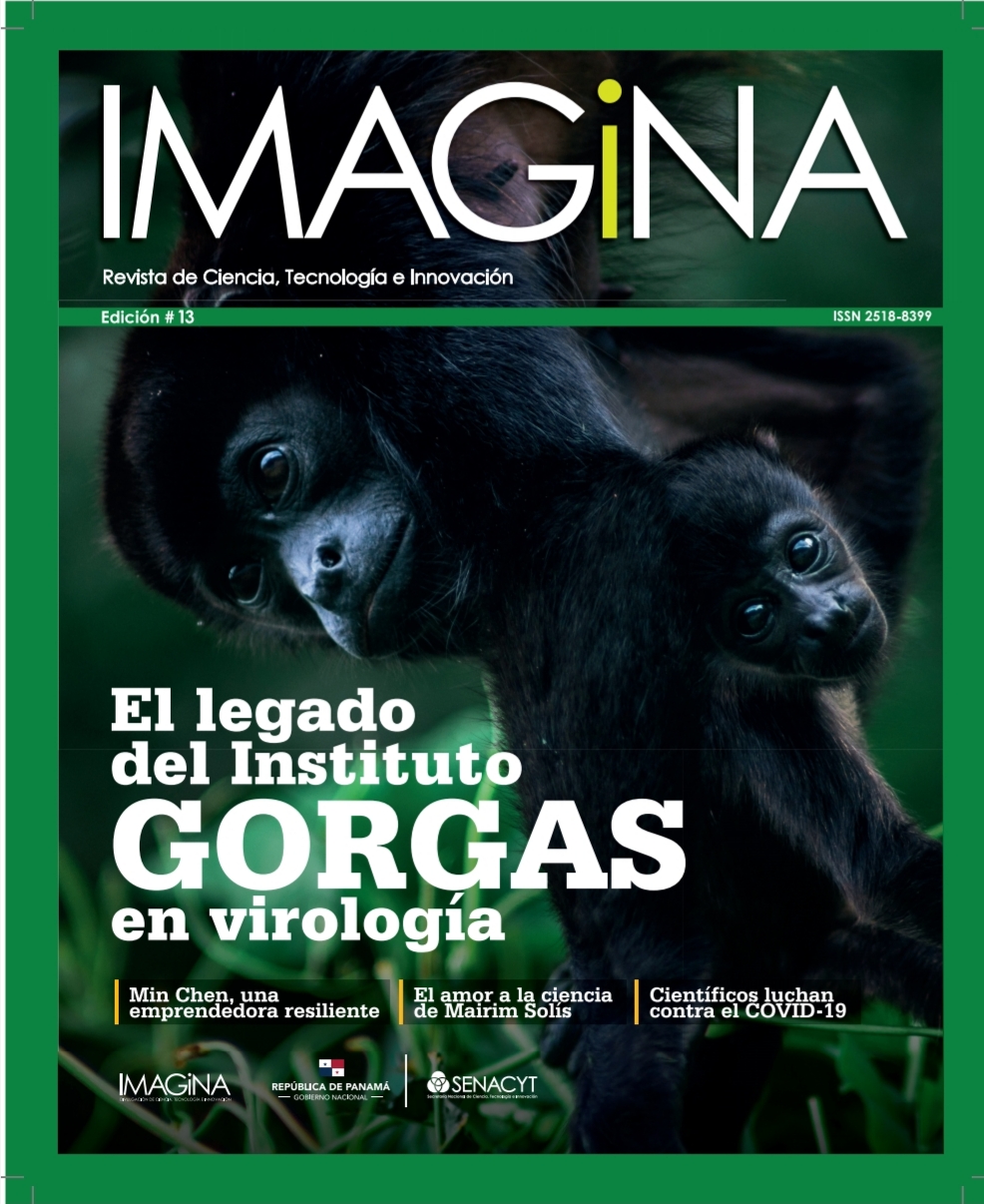 IMAGINA EDICION 13