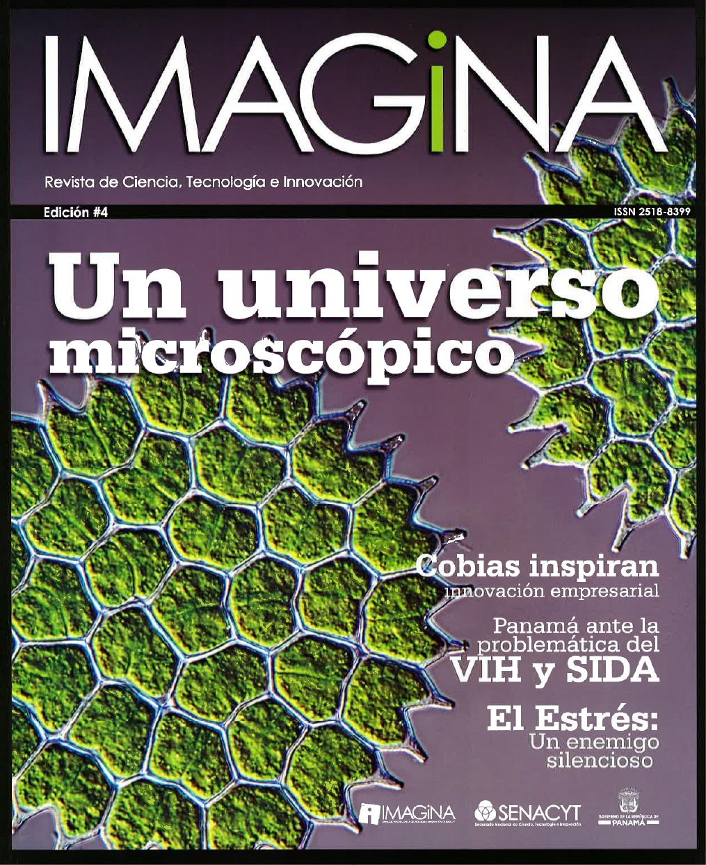 IMAGINA EDICION 4