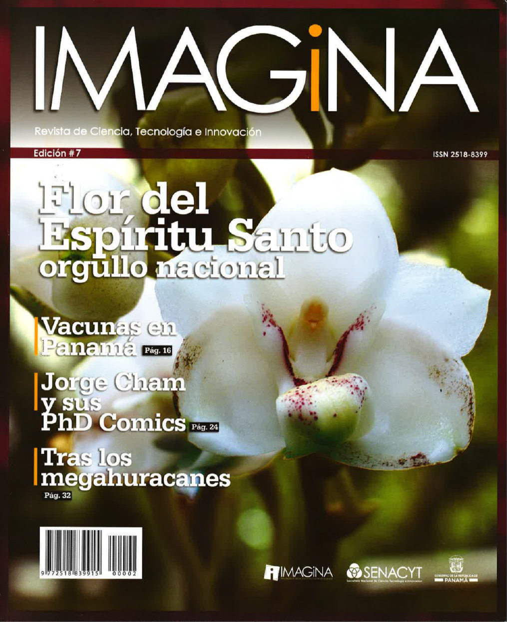 IMAGINA EDICION 7